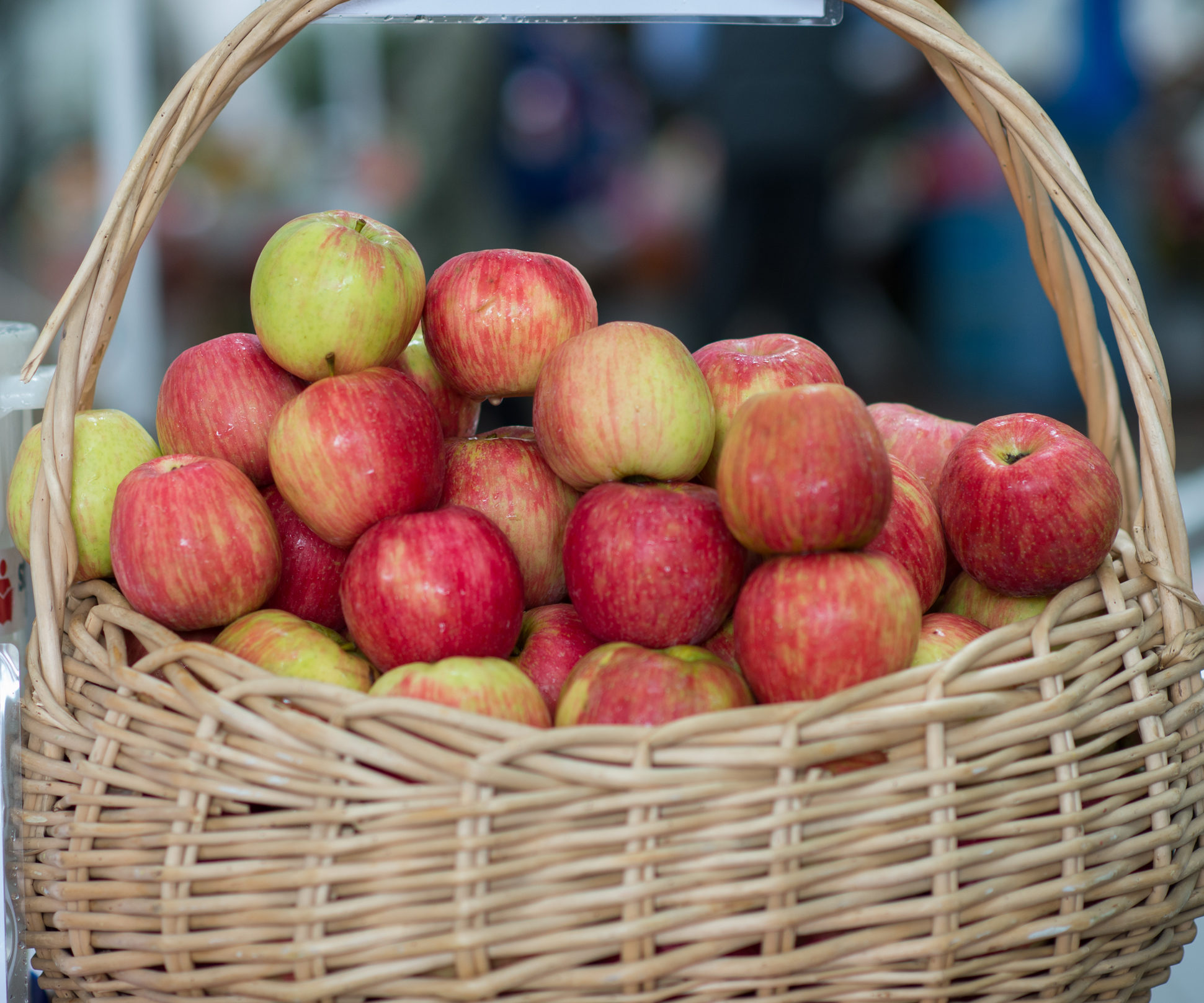 Portland Farmers Market » Applesresized