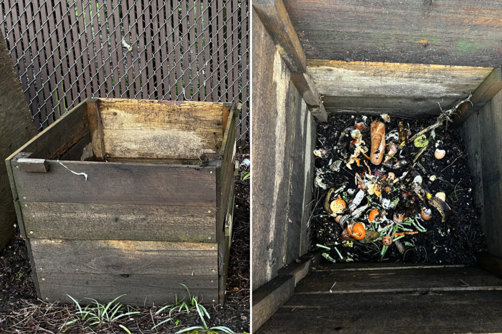 Wood compost bin with food scraps.