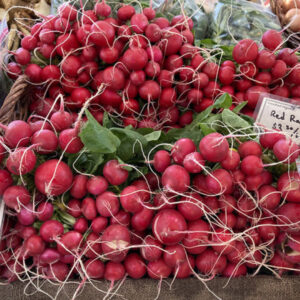 an bounty of red radishes at the market.