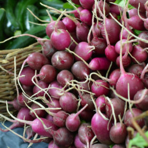 violet colored radishes