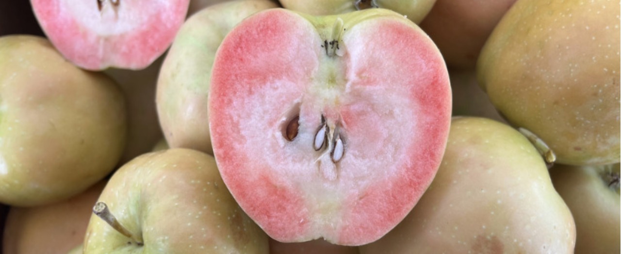 photo of an interior of a pink apple