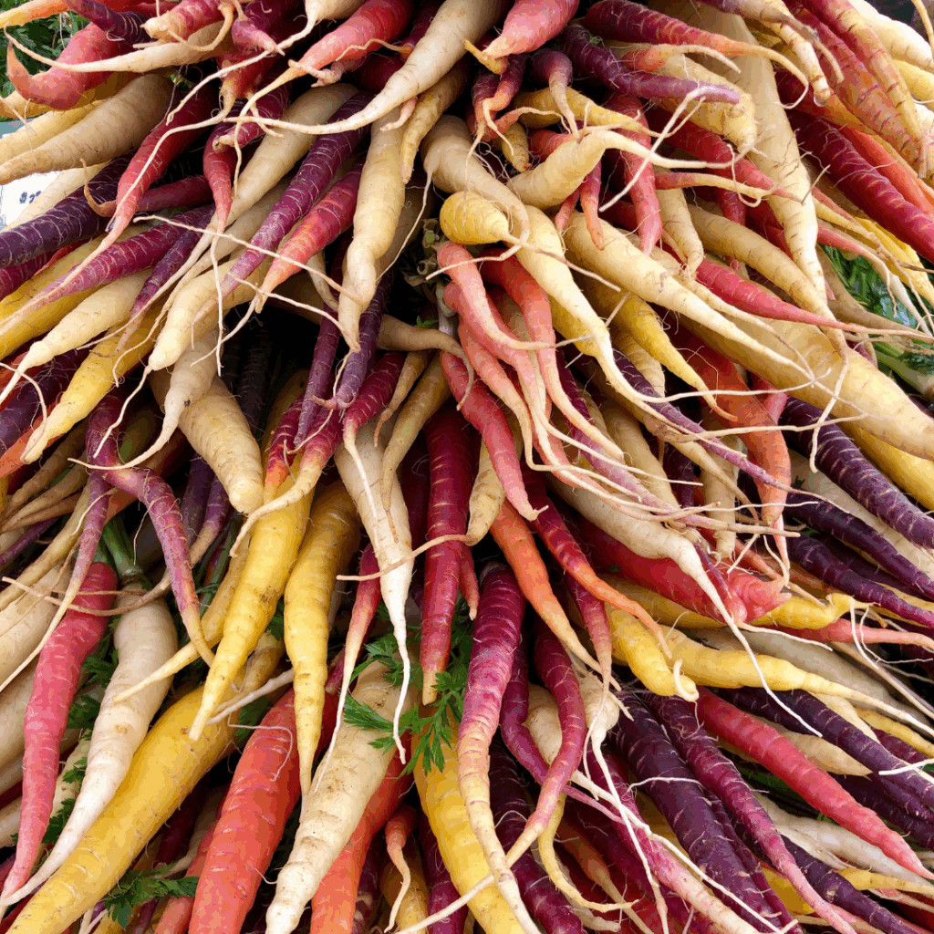 photo of multicolor carrots