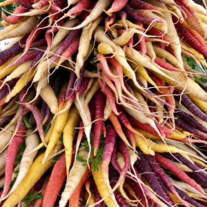photo of multicolor carrots