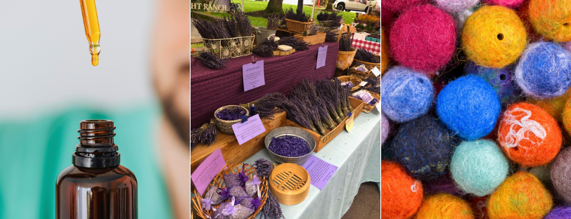 wellness other feb-26