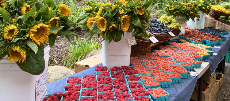 photo of berries and sunflowers at a market