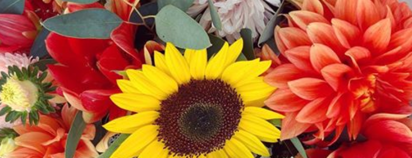 flowers summer 2026