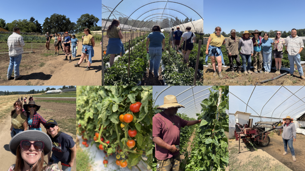 photos of farm visit