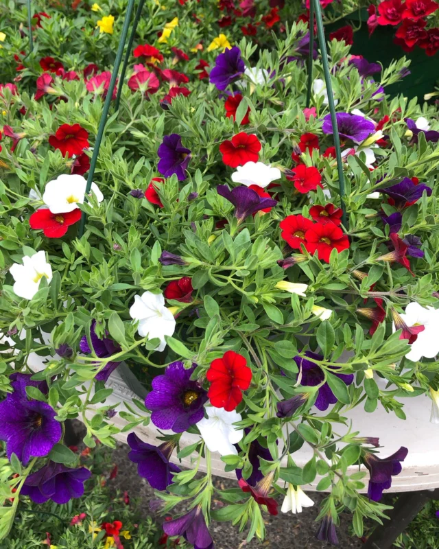 The market is open and full of seasonal produce and flowers! Come down and visit us today.

PSU Farmers Market
Year-Round Saturdays, 8:30am - 2 pm
Closed Dec 28
SW Park & Montgomery