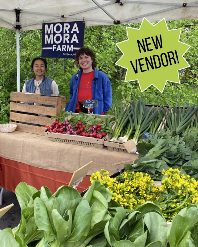 We are delighted Mora Mora Farm has joined King Farmers Market this season!

Farmer/owner Catherine Nguyen (pictured on the left) established Mora Mora Farm in 2018 through the Headwaters Farm Incubator Program.

Catherine grows over 40 types of seasonal vegetables and Asian heritage crops - quite impressive for a farm that spans just one acre in Troutdale!

Minimal tillage and bio-intensive farming practices enable the farm to cultivate a diverse array of produce for their thriving Community Supported Agriculture (CSA) program, as well as for local nonprofit partners and a network of like-minded restaurants and chefs.

And Mora Mora Farm has recently been certified as organic!

They will be at King Farmers Market weekly throughout the season! Swing by their booth and say hello.