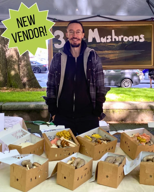Three Little Mushrooms Farm is now at Shemanski Park Farmers Market every Wed!
A beloved staple at the Kenton Farmers Market since 2021, we are excited to have Three Little Mushrooms at one of our downtown markets this season.
David, owner and lead mycologist, cultivates high-quality, gourmet mushrooms, including Lion's Mane, Pioppino, Shiitake, and King Oyster, with a commitment to natural, environmentally responsible farming.
His mushrooms are hyper-local (grown in Kenton), super fresh (often harvested the morning of the market), and very reasonably priced. 
In addition to mushrooms, David offers grow kits, enabling anyone with a bit of countertop space to produce a pound of mushrooms at home easily.
Be sure to stop by Three Little Mushrooms at the next market, learn about their offerings, and pick up a box of delicious fungi!

Shemanski Park Farmers Market 
Wed, 10 am - 2 pm
SW Park & Main