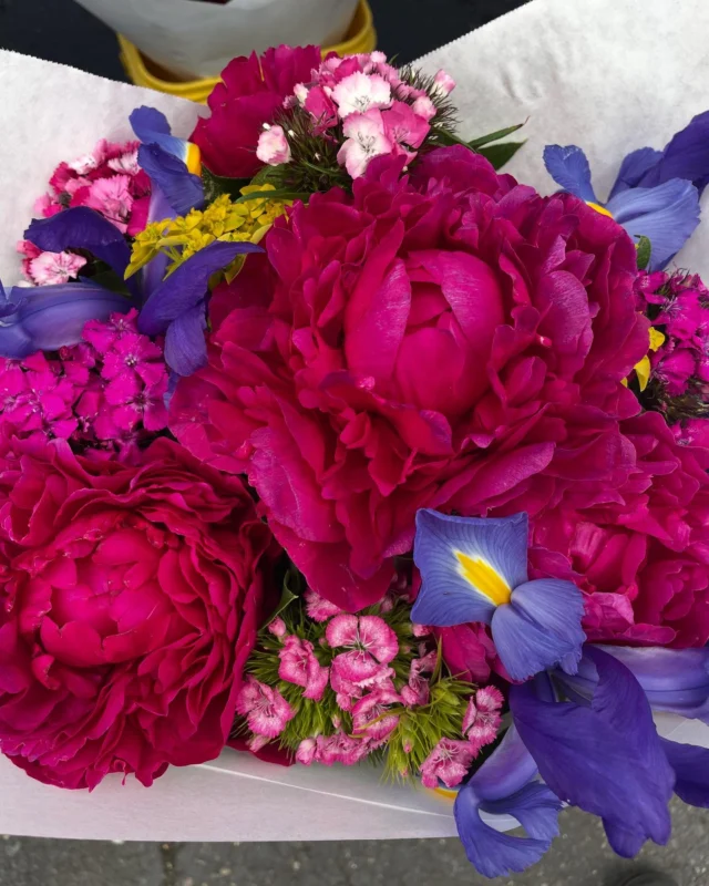 Today is a big day at King Farmers Market! We welcome Chef Althea Grey Potter from @barnouveaupdx Our lovelies from Winter Green Farm finally return AND it's the market manager's birthday 🥳 Like we said - it's a BIG DAY!

Come celebrate with us! We are here with the goods until 2pm.

🌞🌞🌞🌞🌞🌞🌞🌞
King Farmers Market
Sundays, 10 am - 2 pm
NE 7th & Wygant