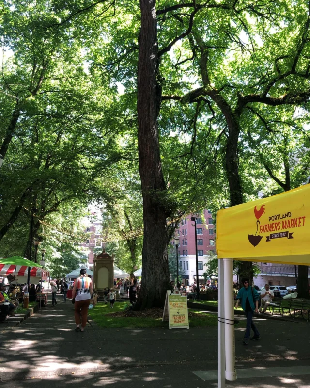 It’s a beautiful day here at the Shemanski Park Farmers Market!

Come hang out, have lunch, and pick up some delicious seasonal abundance while staying cool under the tree canopy.🌳🌞💐🥕🍓

Shemanski Park Farmers Market
Wednesdays, 10 am - 2 pm
Harvest Market, Nov 27
SW Park & Main