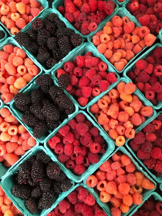 We’re here rain or shine at the Shemanski Park Farmers Market! Come visit us and shop local.
🍓🥒🍅🫛🥕🥖🧁

We’ve got live music and @officialumpquabank is here handing out free swag!

Shemanski Park Farmers Market
Wednesdays, 10 am - 2 pm
Harvest Market, Nov 26
SW Park & Main