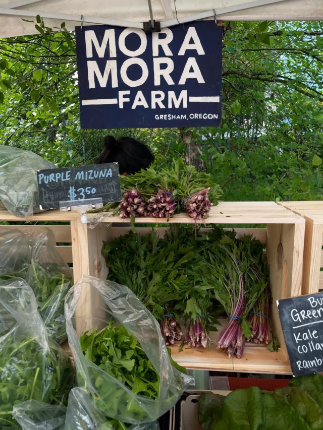 Shop local, support small businesses & enjoy this sunshine! We are here with the goods until 2pm.

🌞🌞🌞🌞🌞🌞🌞🌞
King Farmers Market
Sundays, 10 am - 2 pm
NE 7th & Wygant