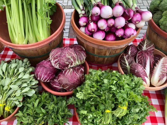 Look at all this abundance! 🫐🍓🫛🍅😋

Lents International Farmers Market
Sundays, 9 am - 2 pm thru Nov 23
SE 92nd & Reedway
