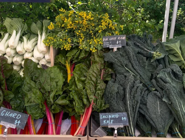 Join us for the first Summer Scorcher of 2025. We have all you need for a river front picnic (plus your groceries for the week ✨) We're here with the goods until 2pm!

🌞🌞🌞🌞🌞🌞🌞🌞
King Farmers Market
Sundays, 10 am - 2 pm
NE 7th & Wygant