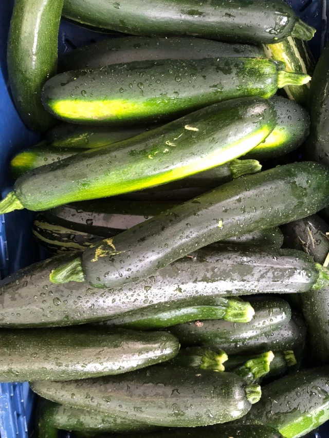 It may be wet out but we’re here until 2pm. Come visit us🫛🥕🍅🍒🌶️ 

PSU Farmers Market
Year-Round Saturdays, 8:30am -2pm
Closed Dec 27
SW Park & Montgomery