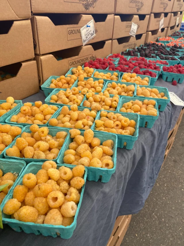 Berries, zinnias, lilies, and first of the season corn & green beans are here now at King Farmers Market!

We're here Sundays 10 am - 2 pm at NE 7th & Wygant! See you soon.