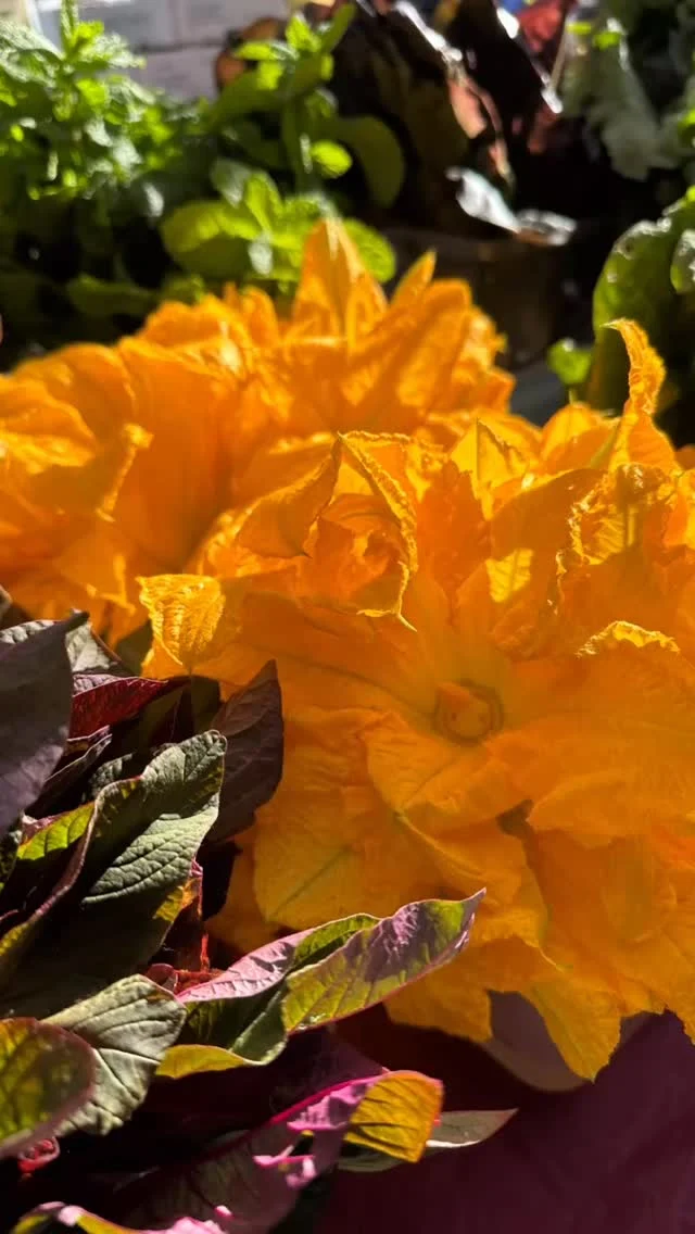 Summer is popping off at the Lents International Farmers Market! Come shop and visit with our incredible vendors here with us today. Same hours as always, 9 am - 2 pm.

We accept SNAP & match up to $20 in Double Up Food Bucks. Stop by the market info booth to learn more!