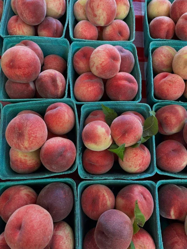 What a beautiful day it is today! 
Look at all the amazing things you can find in the market today. 
🍑🍓🫐🫛🥒🥕

Shemanski Park Farmers Market
Wednesdays, 10 am - 2 pm
SW Park & Main
