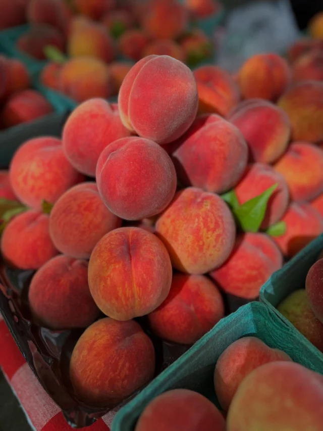 Dreamy sunshine vibes here today at the Shemanski Park Farmers Market. 

🌞🌼🍑🍅

Shemanski Park Farmers Market
Wednesdays, 10 am - 2 pm
Harvest Market, Nov 26
SW Park & Main