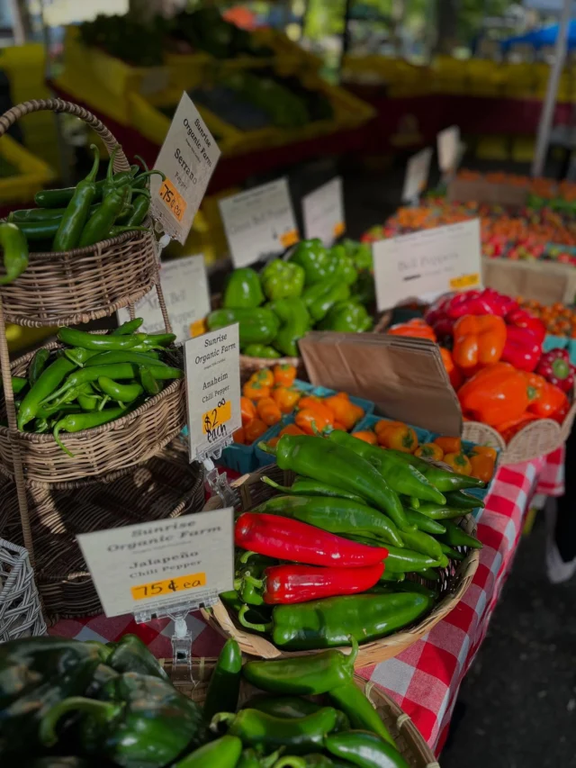 Summer is in full swing here at the market! It’s sunny and you can find all your seasonal produce here! 😋 

🍅🌽🍒🥕

PSU Farmers Market
Year-Round Saturdays, 8:30am -2pm
Closed Dec 27
SW Park & Montgomery
