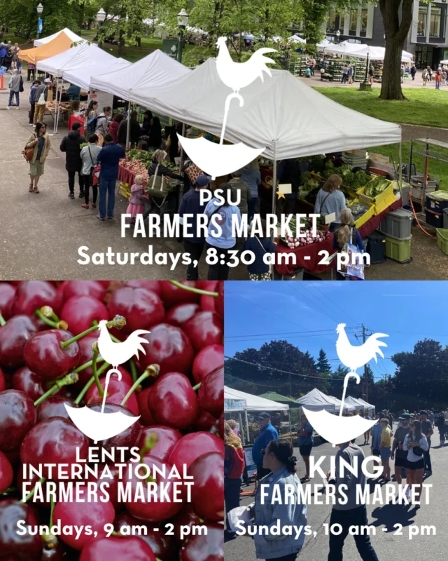 Visit our 3 markets this weekend, offering the region's best seasonal + check out our special events!

✨SAT, JUL 12, 8:30 am - 2 pm✨
PSU Farmers Market
Located at SW Park & Montgomery

In addition to over 120 farmers and food makers, we are proud to host Dave's Killer Bread for a special celebration: Toasting 20 Years since the very first loaves were sold at the market!

The hometown favorite will make a special appearance, serving up samples of DKB topped with fresh market ingredients, as well as its newest products, including snack bars and crunchy snack bites!

There will be a photo booth, coloring sheets for kids, and killer swag! Enter for a chance to win a year's supply of DKB!

✨SUN, JUL 13, 10 am - 2 pm✨
King Farmers Market
Located at NE 7th & Wygant

Support 38 local food growers and producers, then taste the flavors of summer with Rangoon Bistro this Sun at 11 am.

As part of our Chef in the Market series, we are excited to welcome David Sai, Chef and Co-Owner of Rangoon Bistro, for a recipe demo featuring the produce sourced directly from the market vendors.

Please stop by Chef's booth around 11 am to see what Chef David is creating, learn about the local ingredients he's using, and sample his delicious recipe! Samples usually run out quickly, so plan accordingly!

✨SUN, JUL 13, 9 am - 2 pm✨
Lents International Farmers Market
Located at SE 92nd & Reedway

There will be 18 vendors offering a variety of local, fresh fruits, vegetables, honey, salmon, eggs, baked goods, coffee, and more at the market!

Kiyokawa Family Orchards returns for the season with a delightful array of cherries and stone fruits grown in the Hood River Valley!

Enjoy live music 12 - 2 pm by singer/songwriter Zach Bryson, performing original Country, Americana and Folk music.